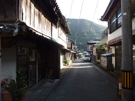 PA256733