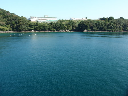 PA256786