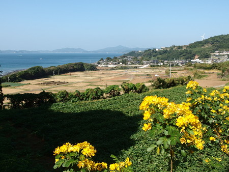 PA256799