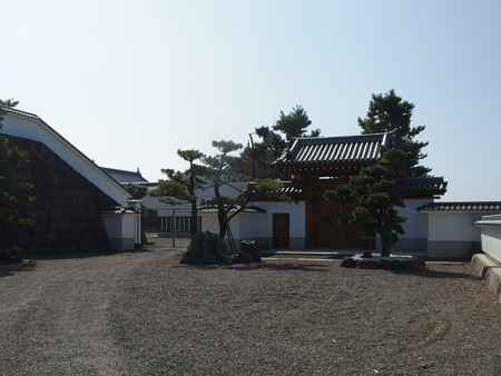 PA256804
