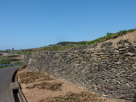 PA256807