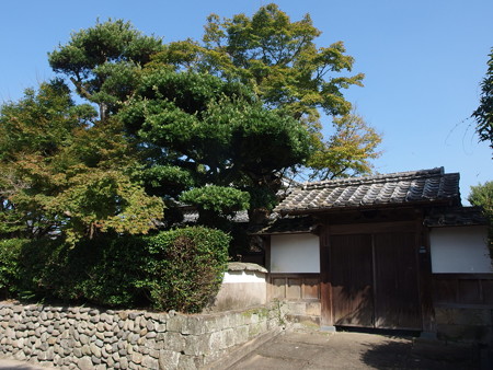 PA256837