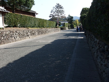 PA256904