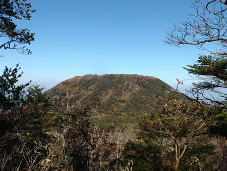 PB037059