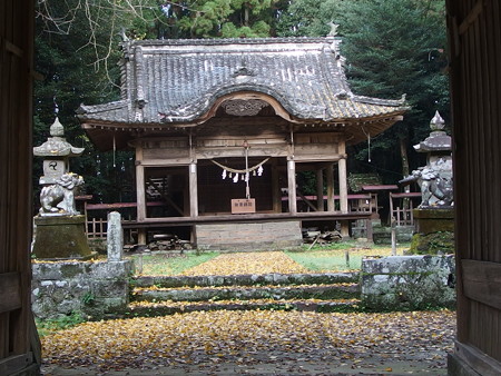 PB210153