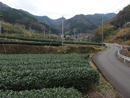 PC160504