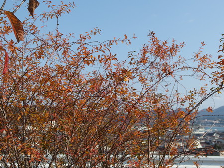 P1120895