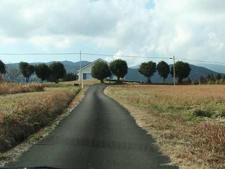 P1311033