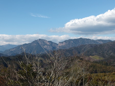 P2031046