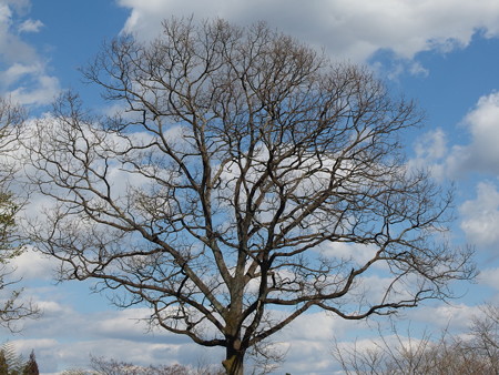 P2031058