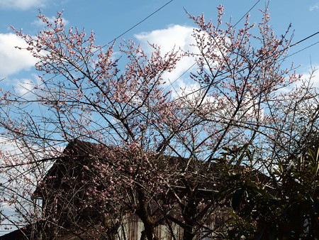 P2031081