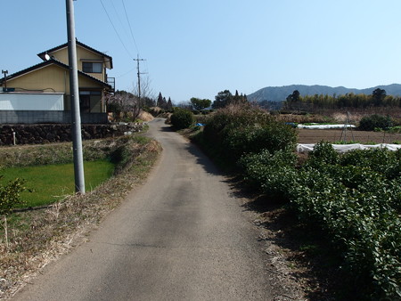 P2281382