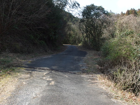P2281397