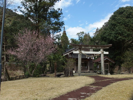 P3111499