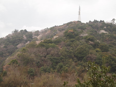 P3190356
