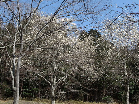 P3232070