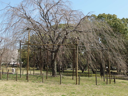 P3232060