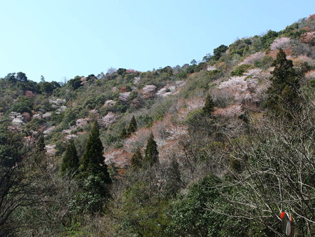 P3262105