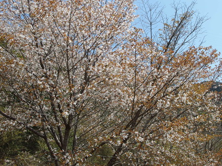 P3262112