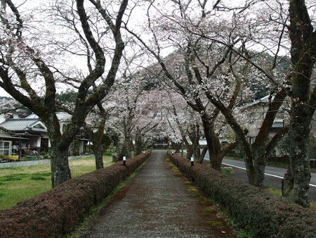 P3302239