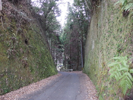 P3302257