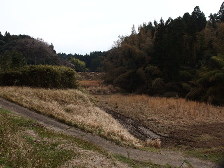 P3302261