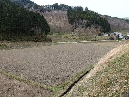 P3302262