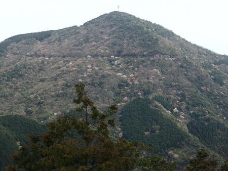 P4022390