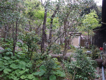 P4062489