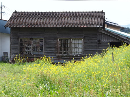 P4090503