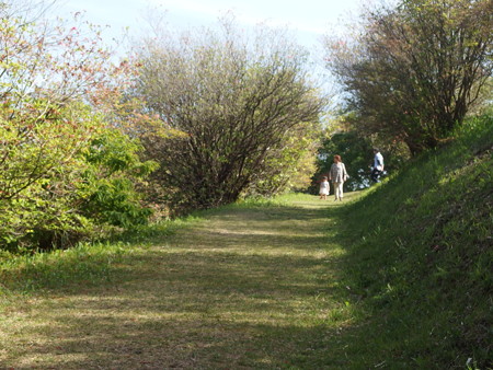 P4172794