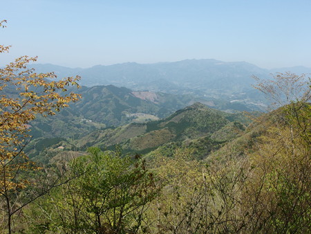 P4202863