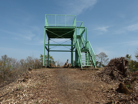 P4202896