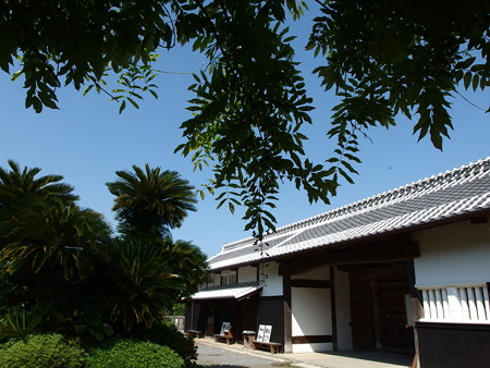 P4292969