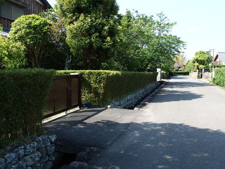 P4292977