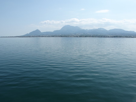 P4292939