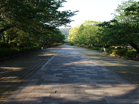 P4293025