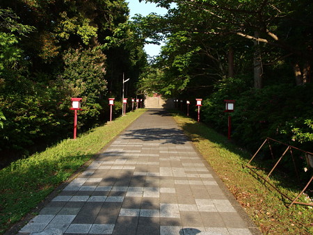 P4293028