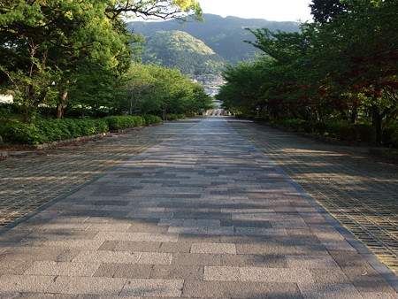 P4293036