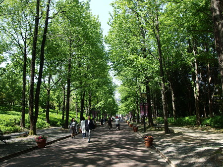 P4303265