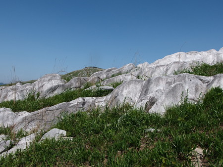 P5013370