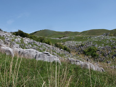 P5013419