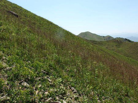 P5013398