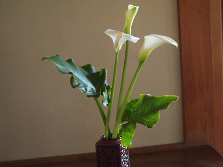 P5012746