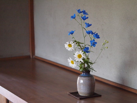 P5012759
