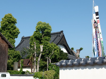 P5013507