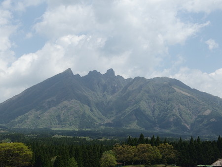 P5043562
