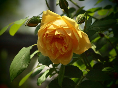 P5042823