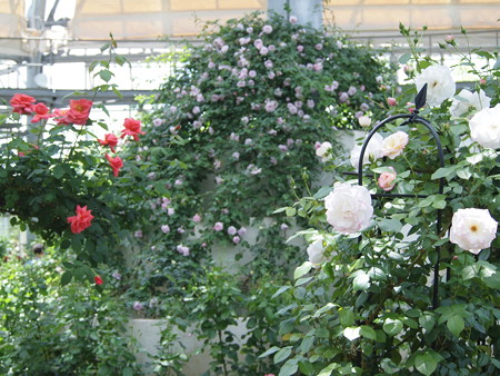 P5042833