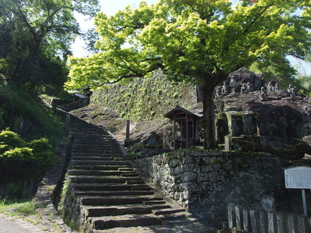 P5043609